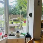 Rent 1 bedroom apartment in berlin