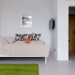 Rent 1 bedroom apartment of 30 m² in berlin