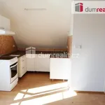 Rent 1 bedroom apartment of 30 m² in Ústí nad Labem