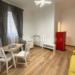 Rent 1 bedroom apartment of 40 m² in Rome