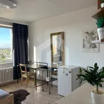 Rent 1 bedroom apartment of 1 m² in České Budějovice