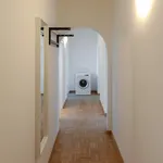 Rent 3 bedroom apartment in Munich