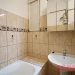 Rent 3 bedroom apartment of 60 m² in Pilsen