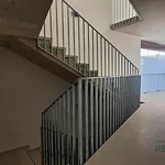 Rent 1 bedroom apartment in Brno