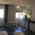 Rent 1 bedroom apartment of 24 m² in Grenoble