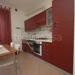 Rent 4 bedroom apartment of 65 m² in Lucca