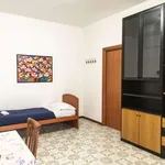 Rent 1 bedroom apartment in rome