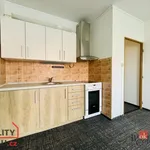 Rent 1 bedroom apartment of 31 m² in Rychnov nad Kněžnou