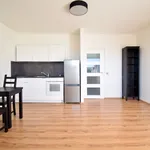 Rent 1 bedroom apartment in Brno