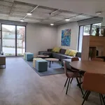 Rent 10 bedroom apartment in porto