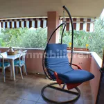 2-room flat via degli Ulivi, Centro, San Teodoro