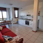 Rent 3 bedroom apartment of 70 m² in Cavallino-Treporti