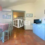 Rent 1 bedroom apartment of 60 m² in pisa