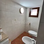 Affitto 1 camera appartamento di 45 m² in Margherita di Savoia