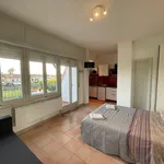 Rent 1 bedroom apartment of 30 m² in Massa