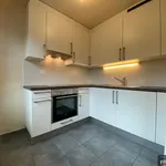 Appartement récemment rénové de 4 pièces à Carouge