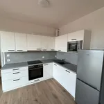 Rent 2 bedroom apartment of 50 m² in Pilsen