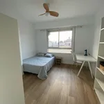 Rent 6 bedroom apartment in Castellón de la Plana