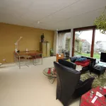 Huur 3 slaapkamer huis van 165 m² in friesland