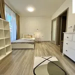 Rent 1 bedroom apartment in Kolín