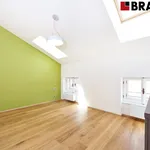 Rent 2 bedroom apartment of 64 m² in Brno