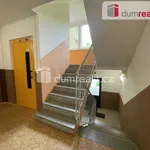 Rent 4 bedroom apartment of 76 m² in Třinec