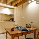 Rent 1 bedroom apartment of 25 m² in Lyon