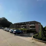 Rent 2 bedroom apartment in Chaumont-Gistoux