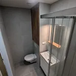 Rent 2 bedroom apartment in Vsetín