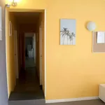 Rent 4 bedroom apartment in Rome