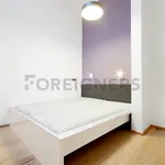 Rent 1 bedroom apartment of 45 m² in Brno