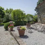 Rent 12 bedroom apartment of 450 m² in Cortona