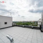 Rent 1 bedroom apartment of 24 m² in Praha