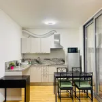 Rent 1 bedroom apartment of 42 m² in Prague