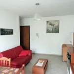 Rent 2 bedroom apartment of 50 m² in Chieti