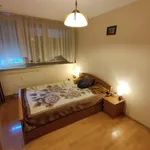 Rent 2 bedroom apartment of 52 m² in Legnica