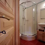 Rent 1 bedroom apartment of 35 m² in Prague