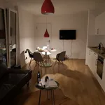 Rent 2 bedroom apartment of 50 m² in Munich