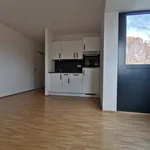 Rent 1 bedroom apartment of 33 m² in Graz