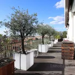 Rent 4 bedroom apartment of 178 m² in Toulouse