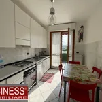 Rent 3 bedroom apartment of 95 m² in Milano