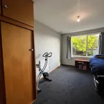 Rent 3 bedroom house in Christchurch