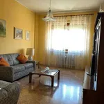 Rent 3 bedroom apartment of 94 m² in Turin