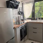 Rent 1 bedroom apartment of 45 m² in Frankfurt