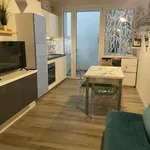 Rent 1 bedroom apartment of 41 m² in Bologna