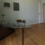 Rent 4 bedroom apartment of 80 m² in Potsdam