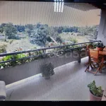 Rent 4 bedroom apartment of 130 m² in San Nicola la Strada