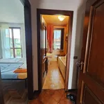 Rent 4 bedroom apartment of 134 m² in Pavia