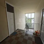 Rent 2 bedroom apartment of 50 m² in Miskolc