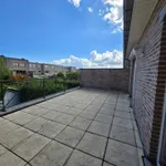 Rent 3 bedroom house of 224 m² in Zaventem